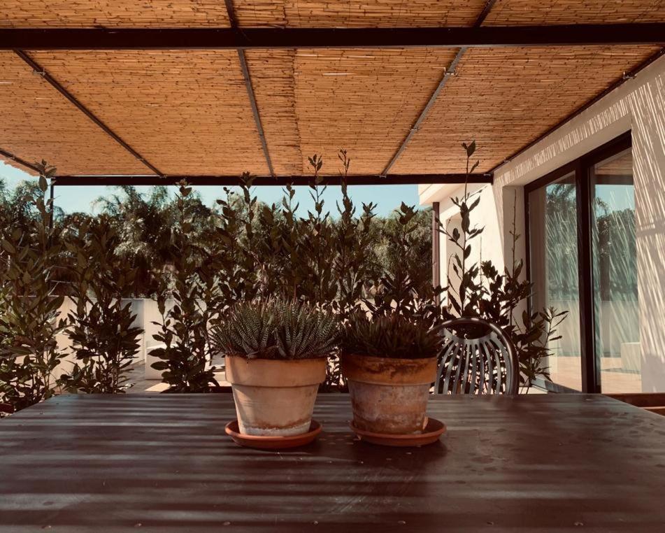 Petrasicula Apartment Ачитрецца Экстерьер фото